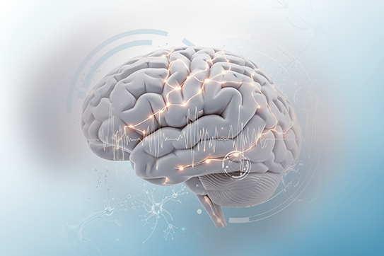 Cardiology Department